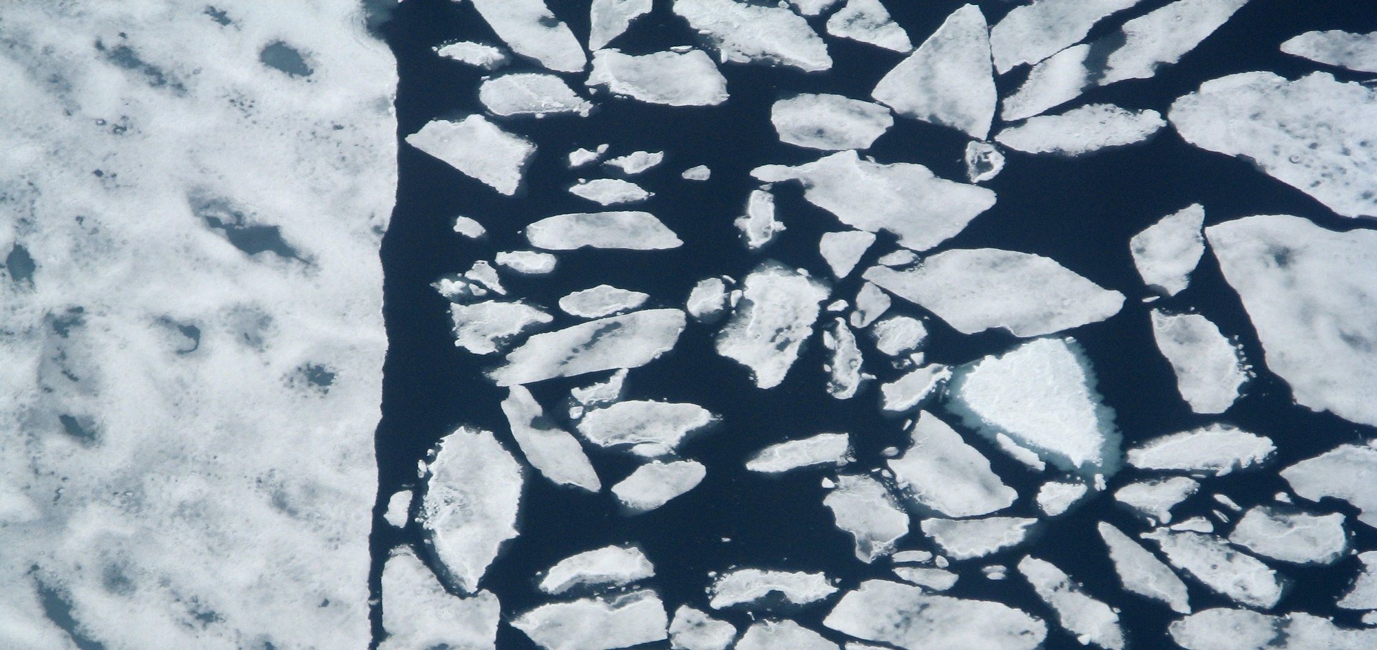 The marginal ice zone Norsk Polarinstitutt