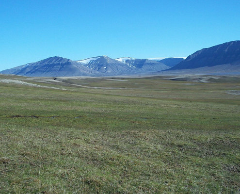 grønn slette med fjell i bakgrunnen