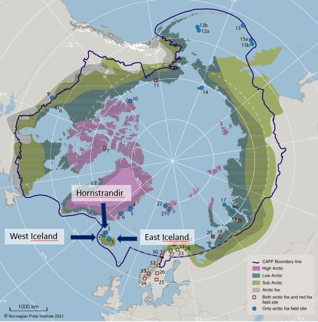 Four field sites in Low Arctic Iceland (East Iceland, Westfjords and Hornstrandir)