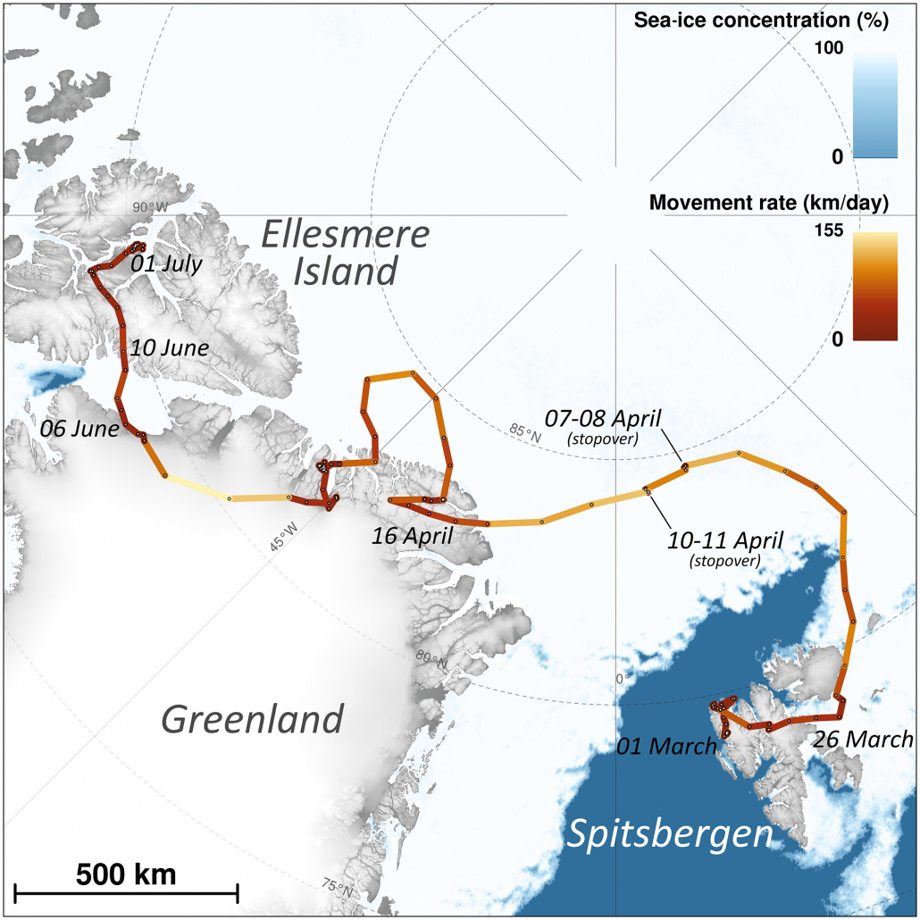 Kart over ruta til reven 