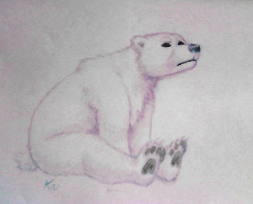 isbjørntegning