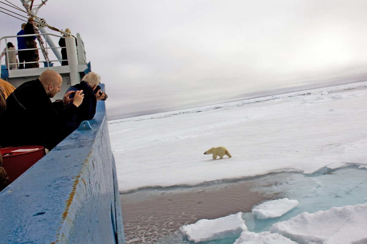 When scientists head into the polar bear’s realm Norsk Polarinstitutt