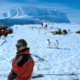 mann, pingvin og utstyr på isflak