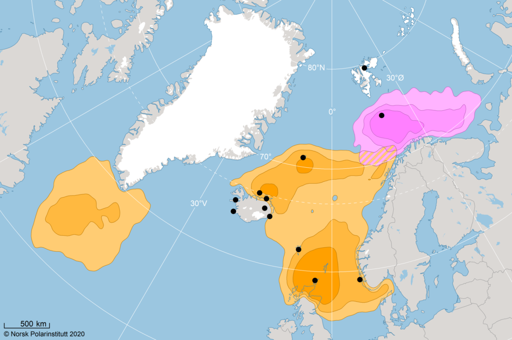 Tolv havhestkolonier markert på kart over Nord Atlanteren.