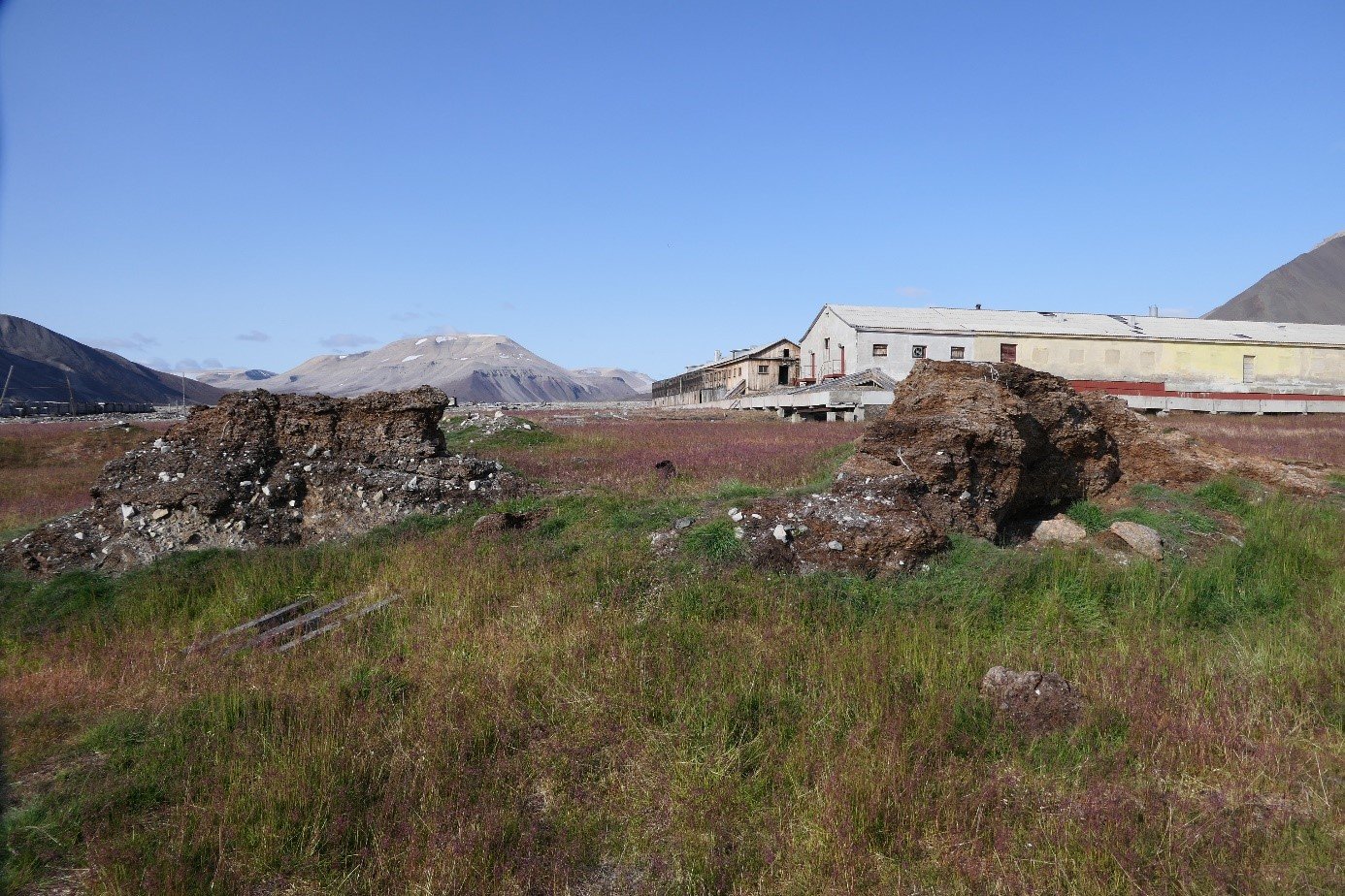 Aliens in the Arctic – Norsk Polarinstitutt