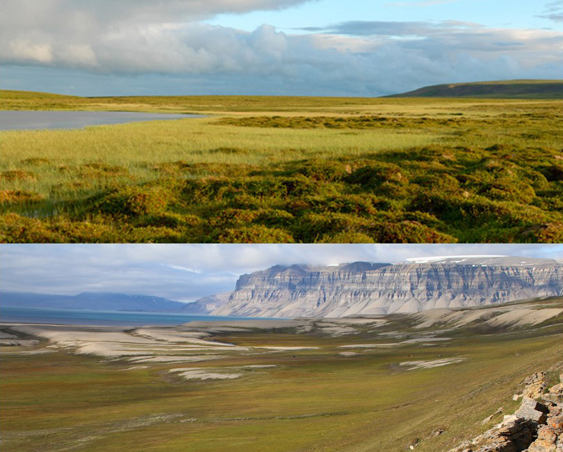 To bilder av arktisk tundra
