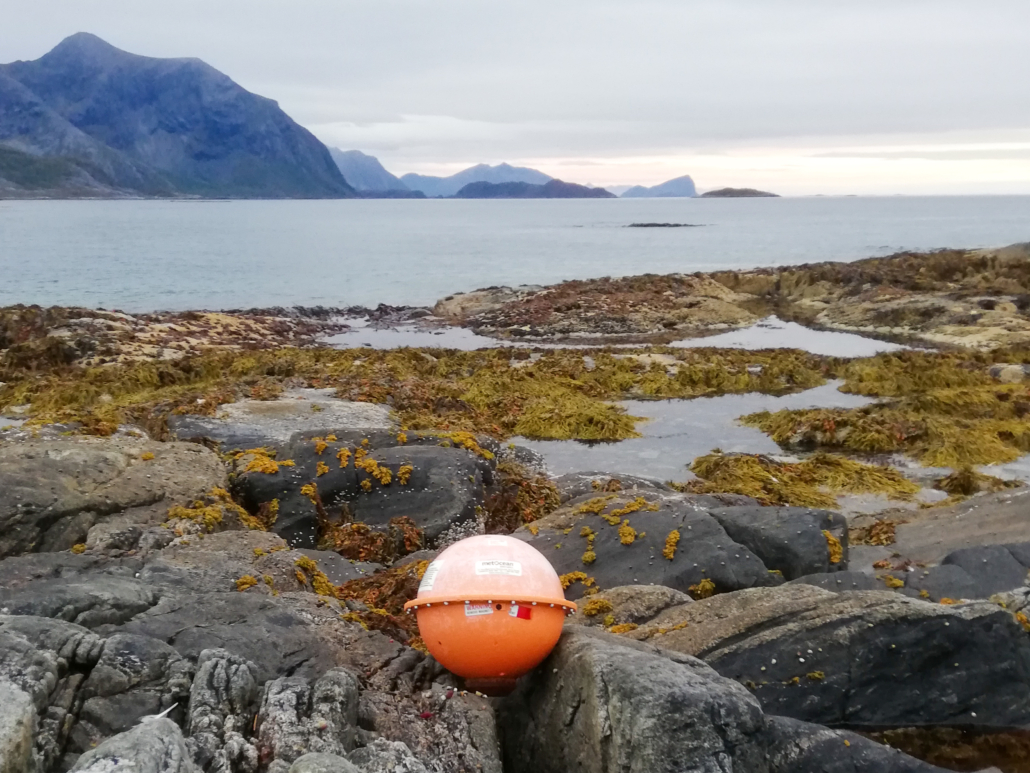 Oransje kule ligger mellom steiner og tang med fjell og hav i bakgrunnen