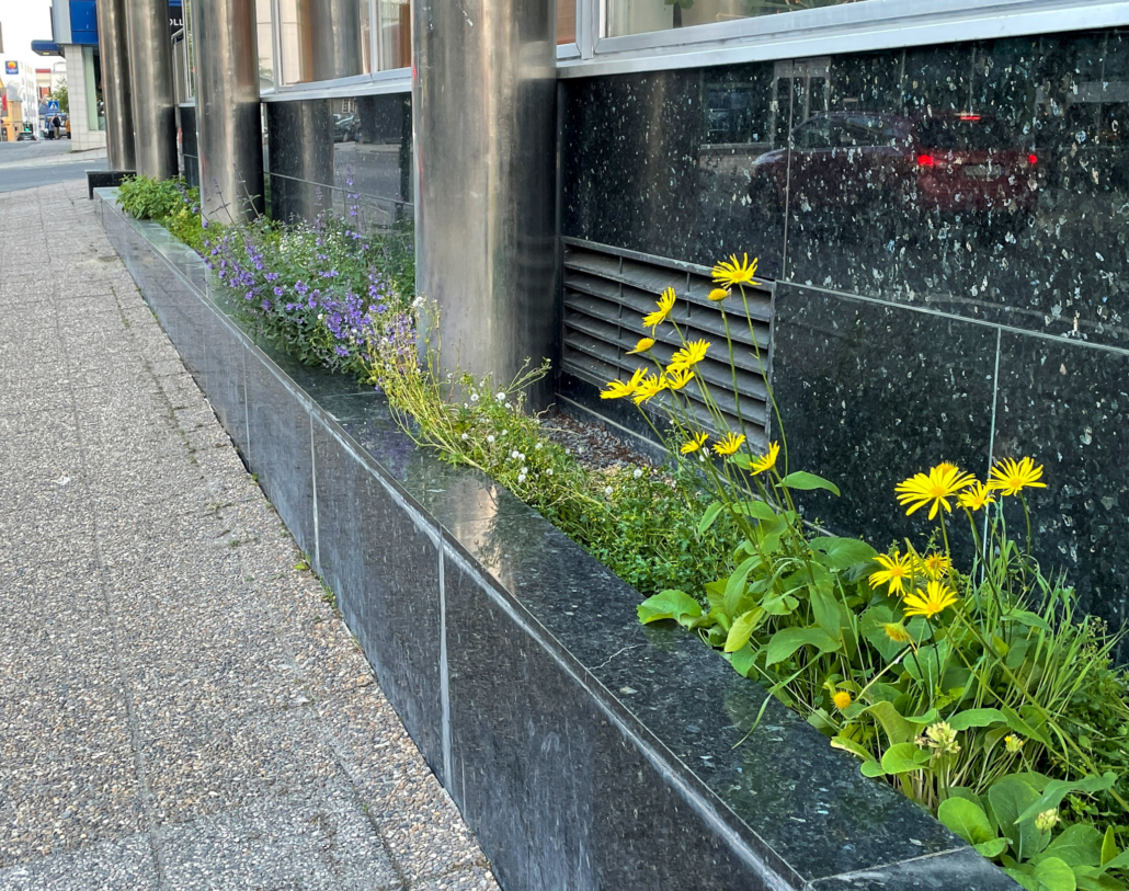 Blomster i bedd bygd av steinfliser