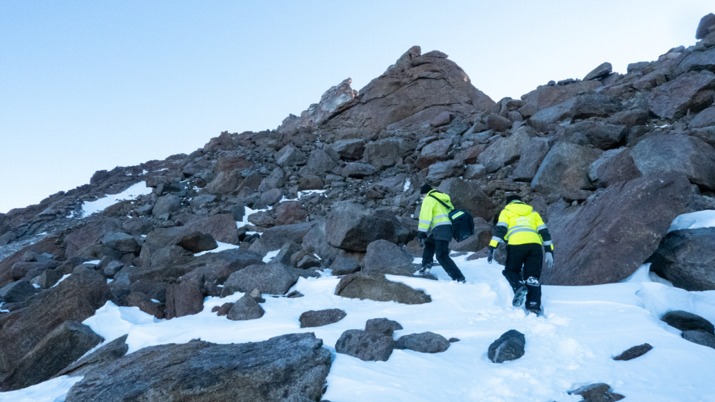 når forskerne oppsøkte området lå fjellene tomme for fugler. Sørjoen var ikke å se, kun tre antarktispetreller og en håndfull snøpetreller ble observert på Svarthamaren, til tross for titusenvis av reir i fjellene i tidligere år.