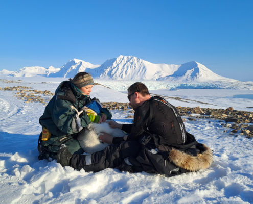 To personer sitter på bakken med et reinsdyr i mellom seg. Det er snø på bakken. Snødekte fjell bak.