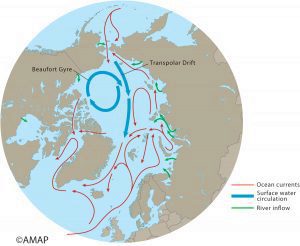 Transportations routes for contaminants to the Arctic by winds and ocean currents, rivers and melting ice.